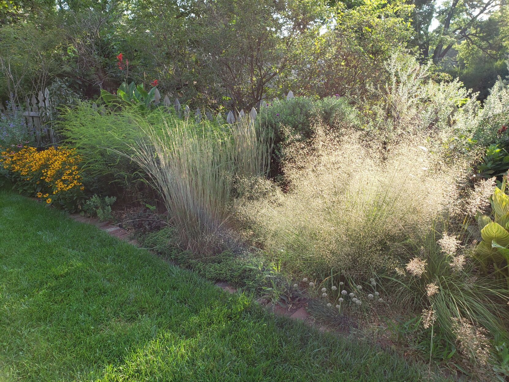 082221-owh-liv-marjiegardencolumn-p5